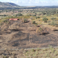 Detenido por provocar dos incendios forestales en Extremadura