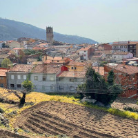 Casi todas las zonas rurales extremeñas ocupadas el puente de Todos los Santos