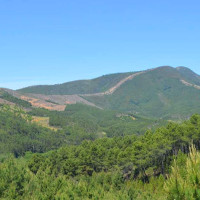 La Junta trabaja con vistas a aprobar el Plan Forestal de Extremadura a lo largo de 2025