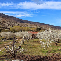 La razón por la que más de 400 ciclistas de todo el país se reunirán en el Valle del Jerte