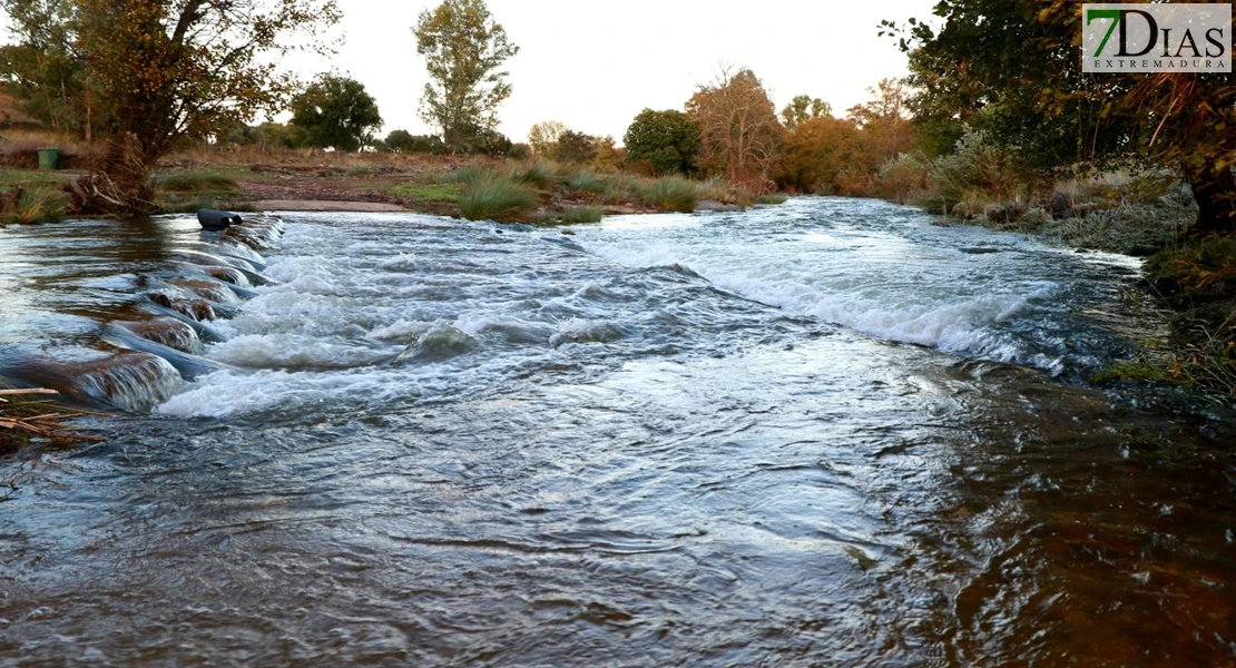 Este es el estado de los arroyos tras las fuertes lluvias en la zona de Los Baldíos