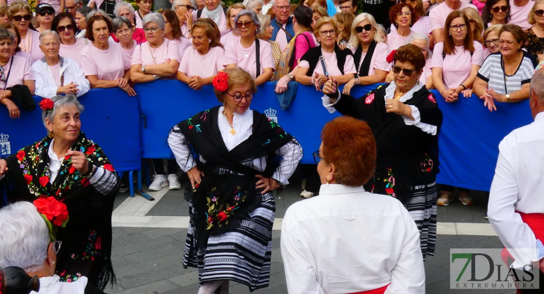 La plaza de San Francisco se llena de alegría y fiesta para celebrar el Día de los Mayores