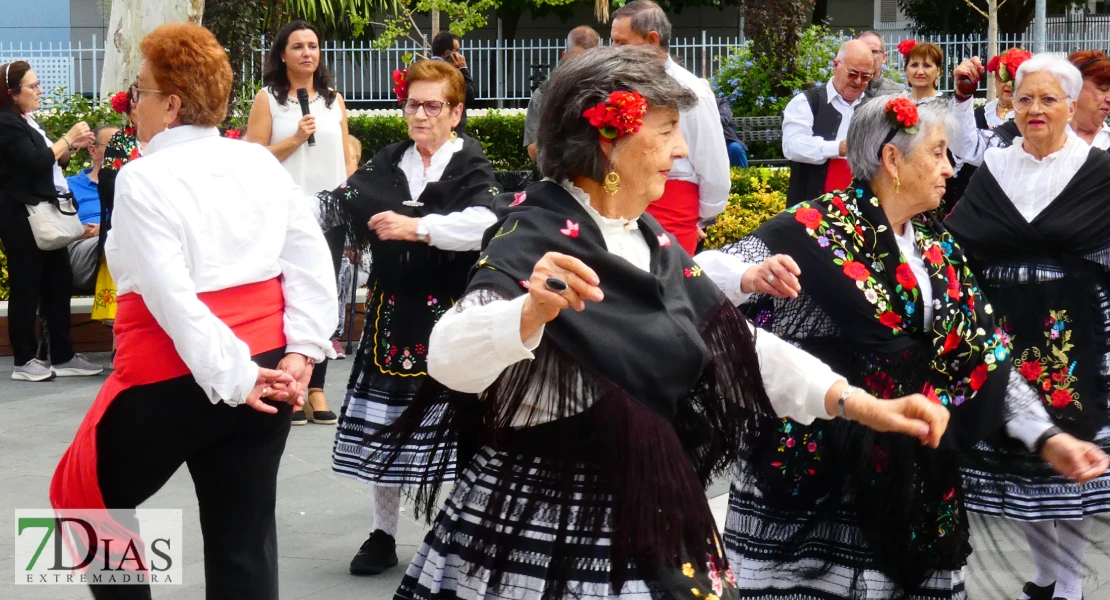 La plaza de San Francisco se llena de alegría y fiesta para celebrar el Día de los Mayores