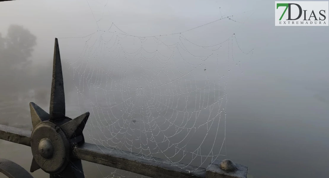 Niebla, precipitaciones dispersas y bajada de temperaturas en Extremadura