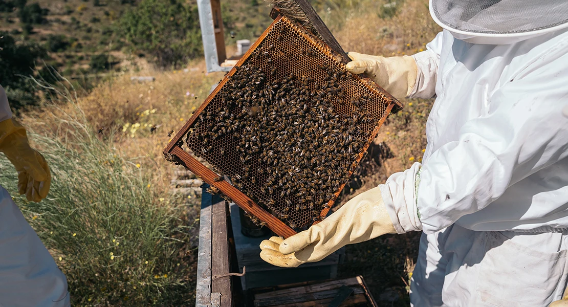 UPA-UCE asegura que la importación de miel de otros países está afectado a los extremeños