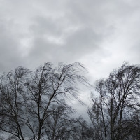 Se esperan rachas de viento de hasta 90 km/h en algunas zonas de España