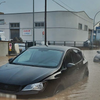 Cataluña también en alerta: detienen los trenes