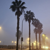 FOTONOTICIA: Así ha amanecido Badajoz este lunes