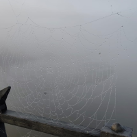 Niebla, precipitaciones dispersas y bajada de temperaturas en Extremadura