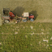 Así afectará el nuevo Reglamento de Extranjería al mundo rural en España