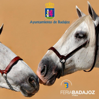 El IX Concurso Morfológico del Caballo PRE EcuExtre de Badajoz ya tiene fecha