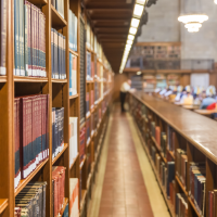 Mujeres, niños y naturaleza, protagonizas del mes de noviembre en la Biblioteca de Cáceres