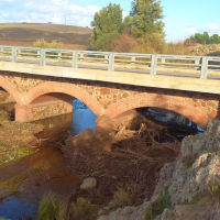 CHG actúa en varios entornos del río Guadiana en Badajoz