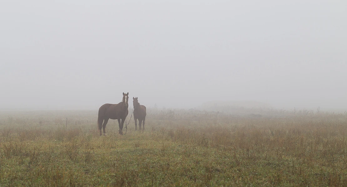 Una localidad por debajo de los 0 ºC este viernes en Extremadura