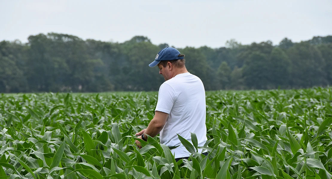 Así ha sido el año agrario para los extremeños, según COAG