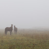 Una localidad por debajo de los 0 ºC este viernes en Extremadura