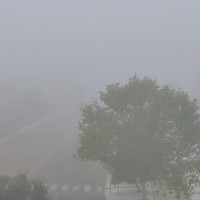 Piden precaución: alerta amarilla por densas nieblas este martes en Extremadura