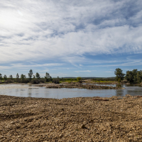 Licitan nuevos trabajos de Restauración Fluvial en el río Guadiana en Badajoz