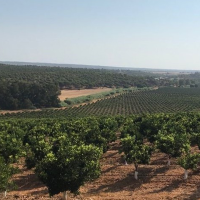 Afirman que "los documentos de la Comisión Europea certifican la inviabilidad" de Tierra de Barros