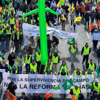 Agricultores y ganaderos extremeños se manifiestan en contra del acuerdo UE-Marruecos