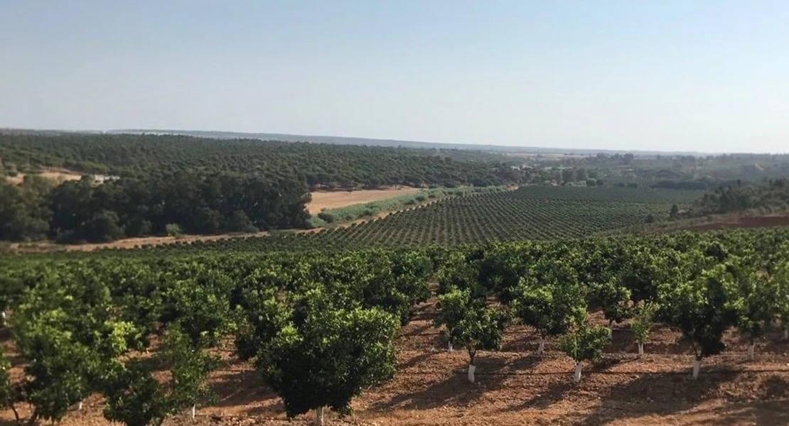 Afirman que "los documentos de la Comisión Europea certifican la inviabilidad" de Tierra de Barros