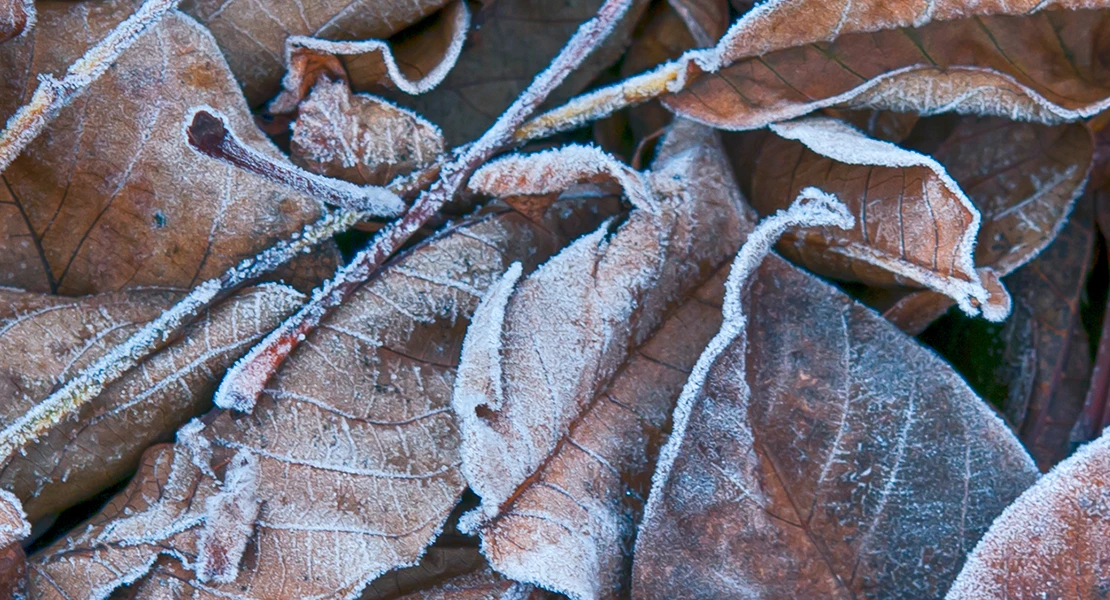 ¿Cuándo volverán a subir las temperaturas en Extremadura?