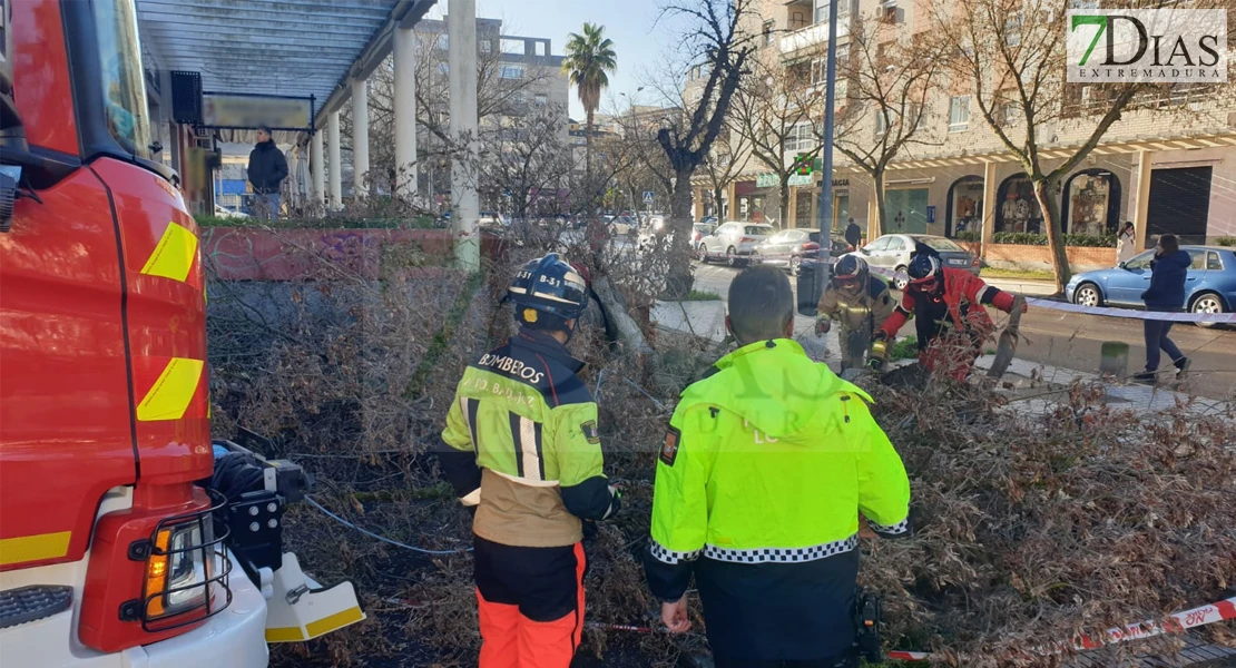 REPOR - La borrasca deja multitud de destrozos en Badajoz