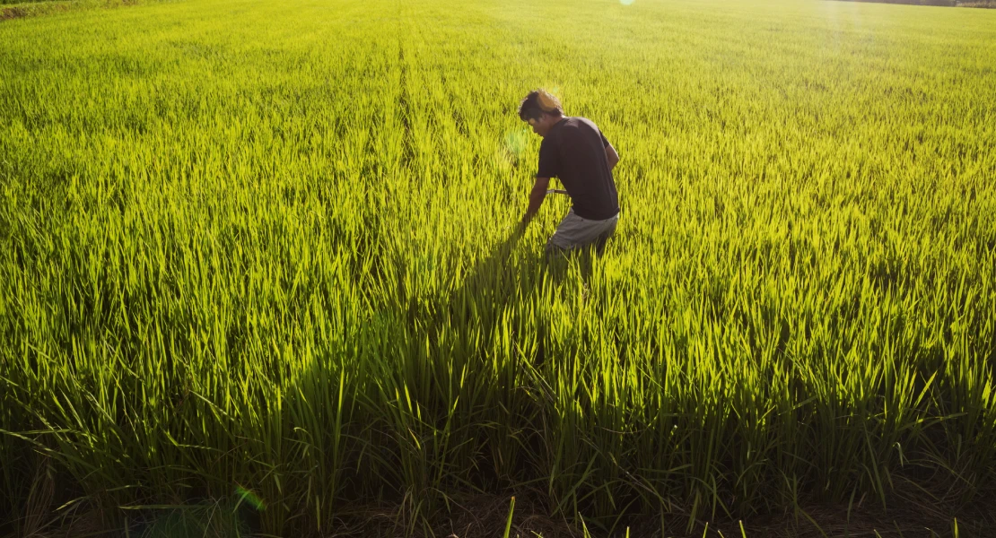 Ecologistas responden al sindicato ganadero: "No hemos denunciado a ningún agricultor"