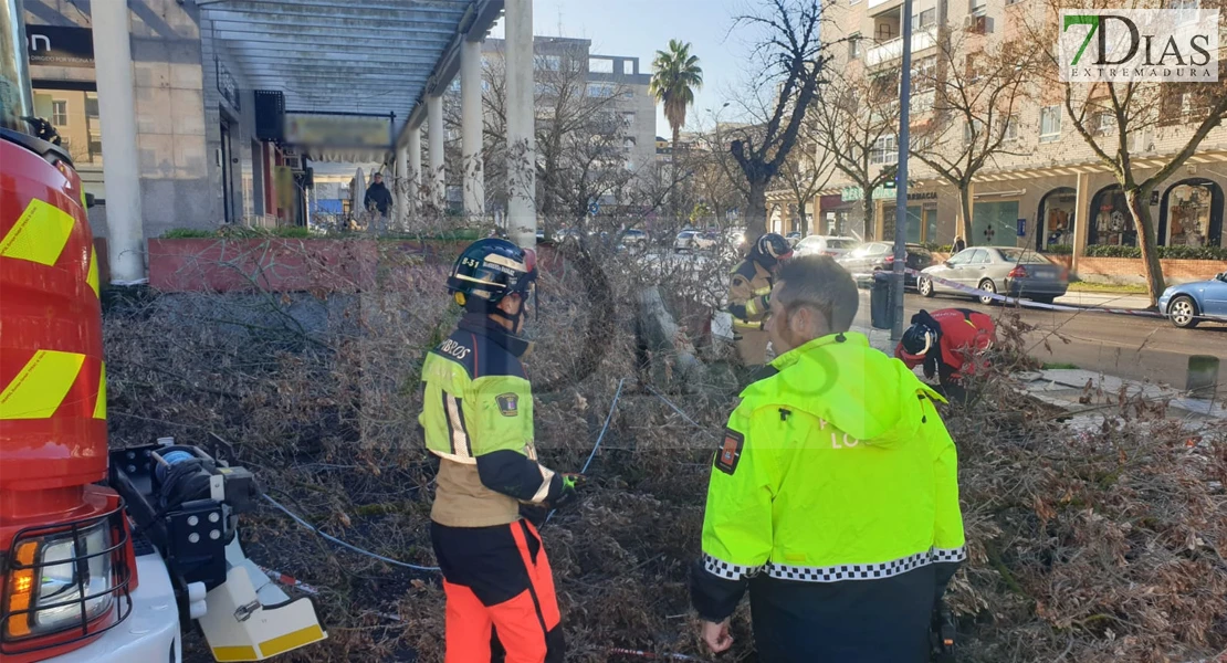 REPOR - La borrasca deja multitud de destrozos en Badajoz