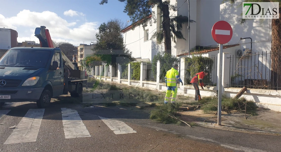 REPOR - La borrasca deja multitud de destrozos en Badajoz