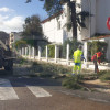 REPOR - La borrasca deja multitud de destrozos en Badajoz