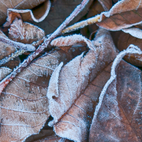 ¿Cuándo volverán a subir las temperaturas en Extremadura?