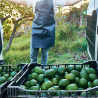 SOS Rural alerta de una "amenaza" para la soberanía alimentaria de España