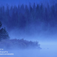 Héctor Cordero gana el premio 'Fotógrafo Extremeño' del concurso fotográfico 'Las Aves Silvestres'