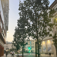 Consulta el tiempo para este viernes en Extremadura