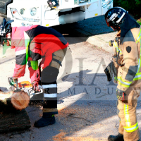 Las fuertes rachas de viento no dan tregua a los Bomberos en Badajoz