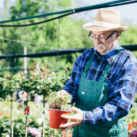 Jubilados se oponen a la nueva Ley para compatibilizar las pensiones con el trabajo