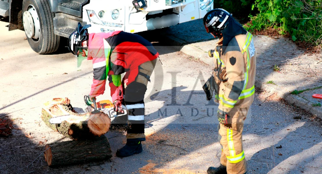 Las fuertes rachas de viento no dan tregua a los Bomberos en Badajoz