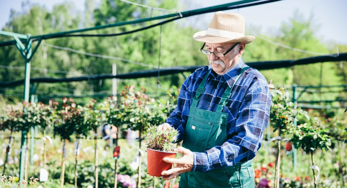 Jubilados se oponen a la nueva Ley para compatibilizar las pensiones con el trabajo