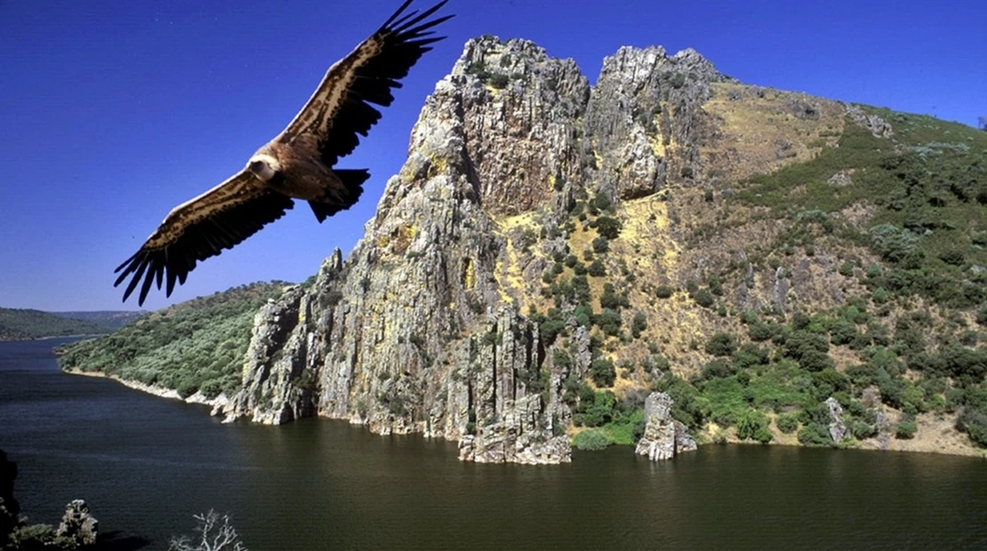 Extremadura presenta su oferta turística en Alemania