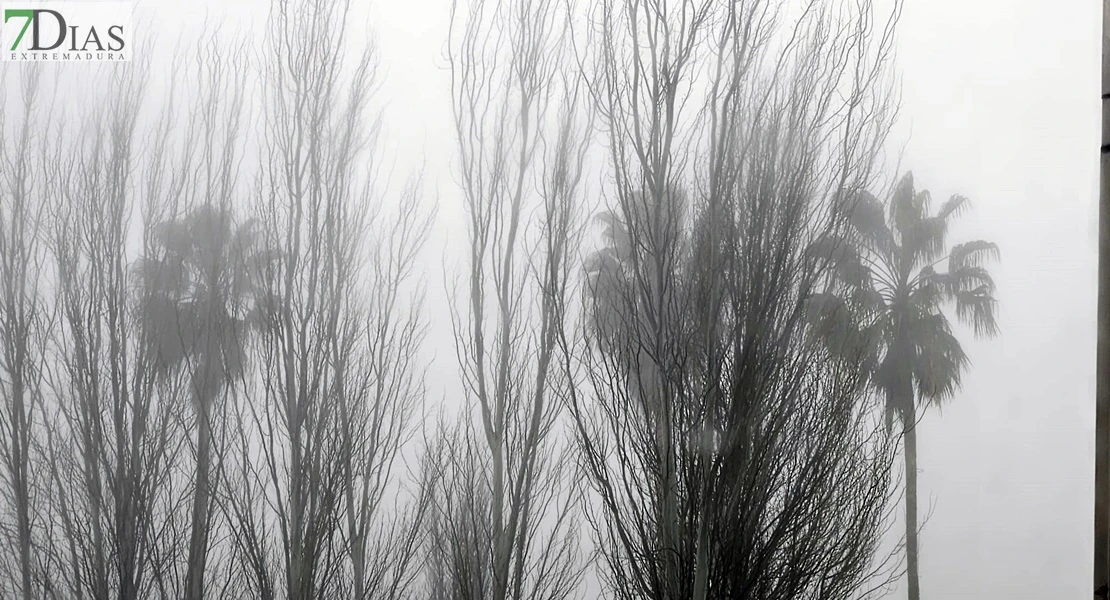 FOTONOTICIA: Un manto de niebla de niebla cubre Badajoz