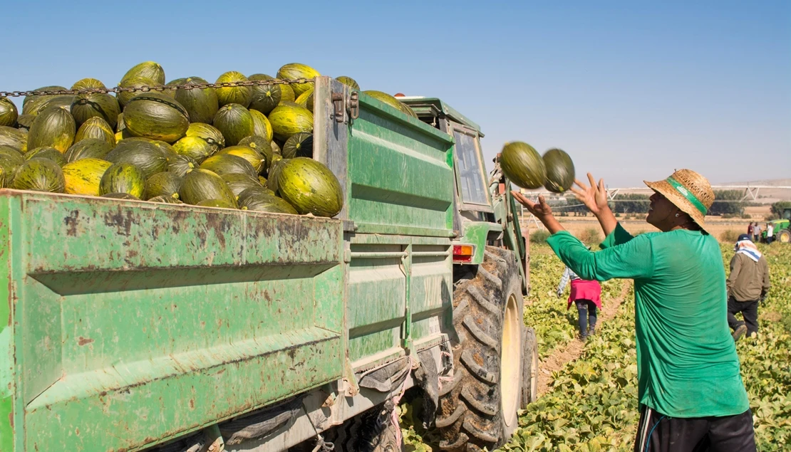 Extremadura pedirá a Planas que cambie la Ley de la Cadena Alimentaria