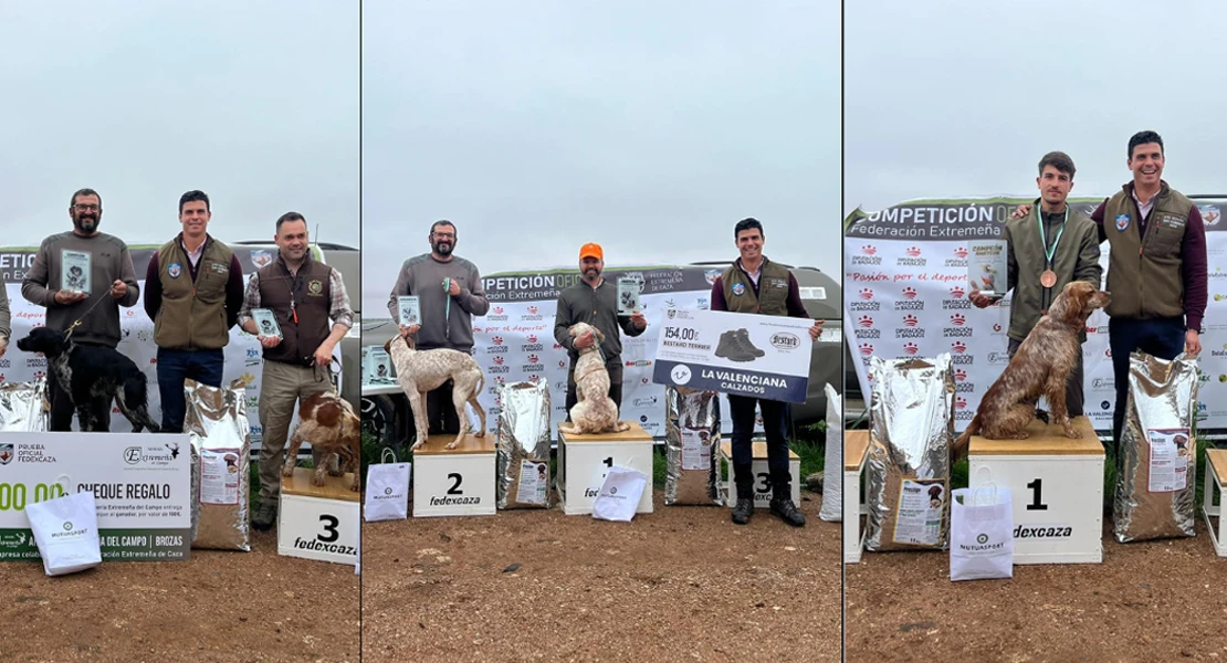 Estos son los campeones de Extremadura de Perros de Muestra 2025