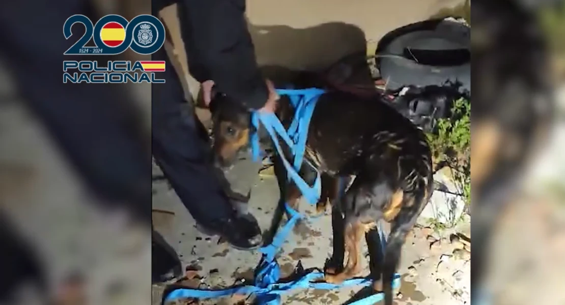 La Policía Nacional rescata un perro que había caído a un pozo