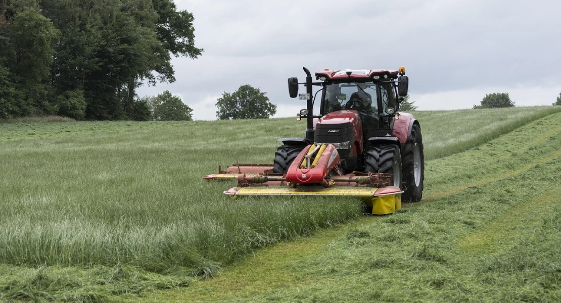 Los agricultores y ganaderos ganan menos del SMI en España