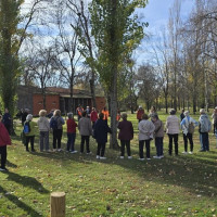 El Área de Salud de Plasencia desarrolla un proyecto de investigación para mejorar la salud del paciente