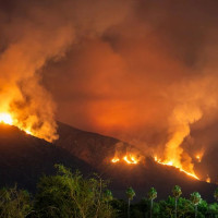 El futuro plan de incendios de Monfragüe podría ocasionar una catástrofe ecológica