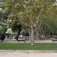 Solicitan declarar el parque López de Ayala como 'Jardín Histórico'