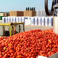 La Unión Extremadura a Cooperativas Agroalimentarias: "¿Estáis en contra de los agricultores?"