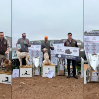 Estos son los campeones de Extremadura de Perros de Muestra 2025